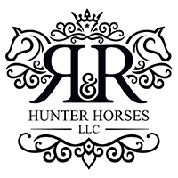 hunter horse